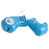 Manchester City mini bokshandschoenen auto blauw